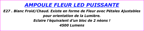 AMPOULE FLEUR LED PUISSANTE
E27 . Blanc Froid/Chaud. Existe en forme de Fleur avec Pétales Ajustables pour orientation de la Lumière.
Eclaire l’équivalent d’un bloc de 2 néons ! 
4500 Lumens