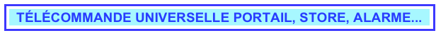 TÉLÉCOMMANDE UNIVERSELLE PORTAIL, STORE, ALARME...